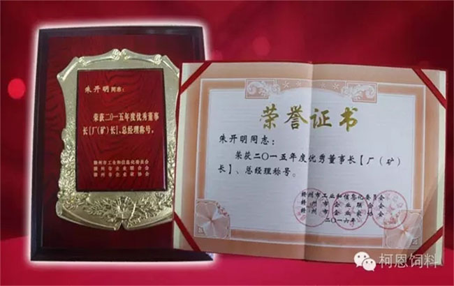 2015年度優(yōu)秀董事長(cháng)