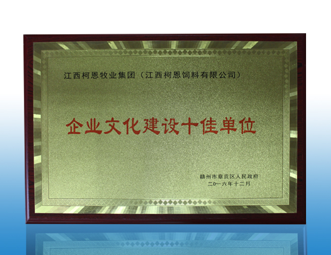 企業(yè)文化建設十佳單位