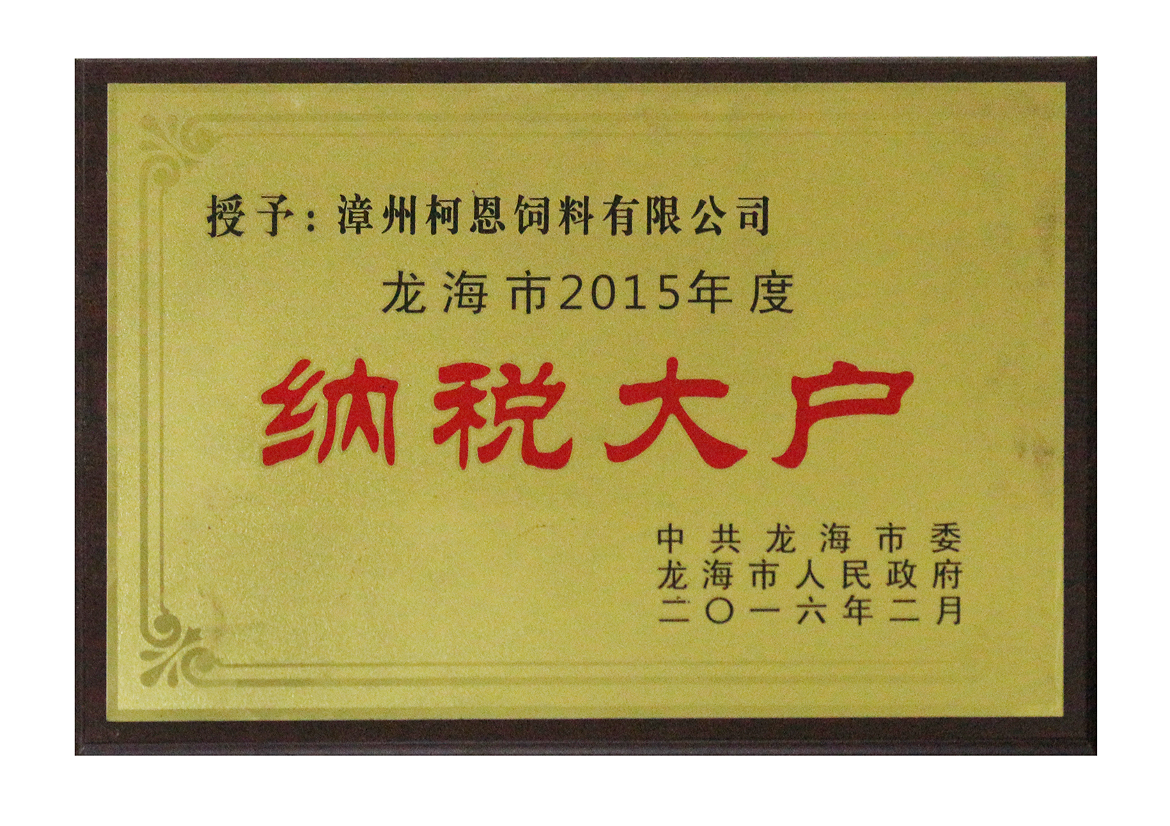 漳州公司《2015年納稅大戶(hù)》
