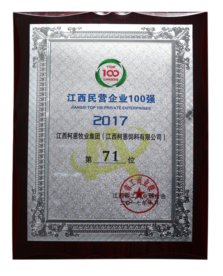 2017年江西省民營(yíng)企業(yè)100強