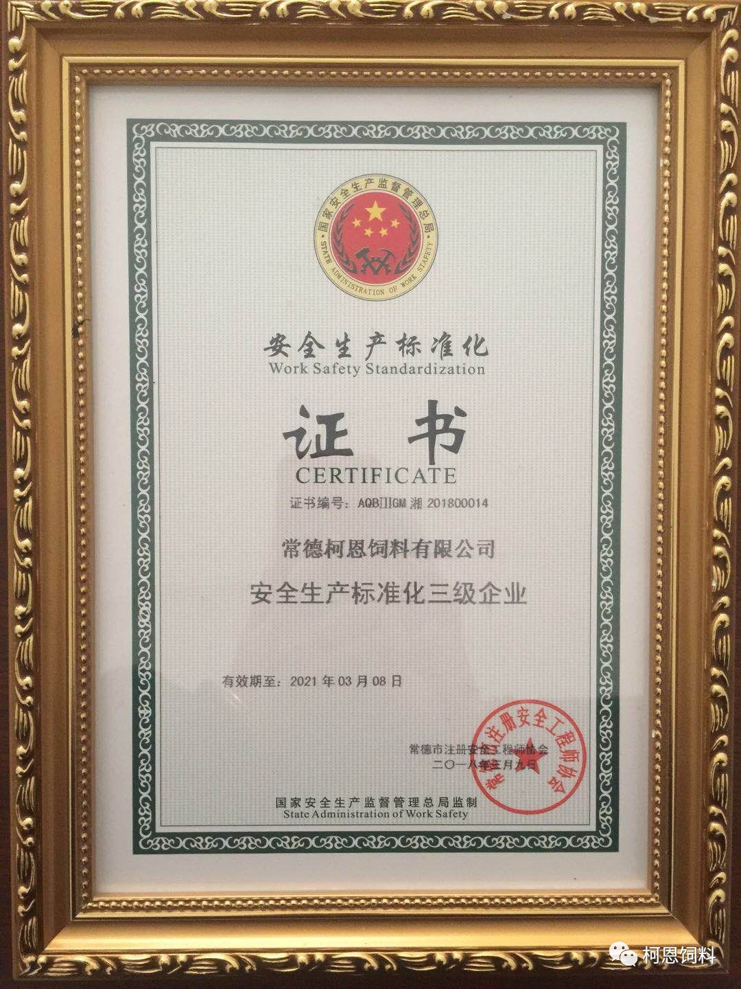 常德公司榮獲安全生產(chǎn)標準化三級企業(yè)