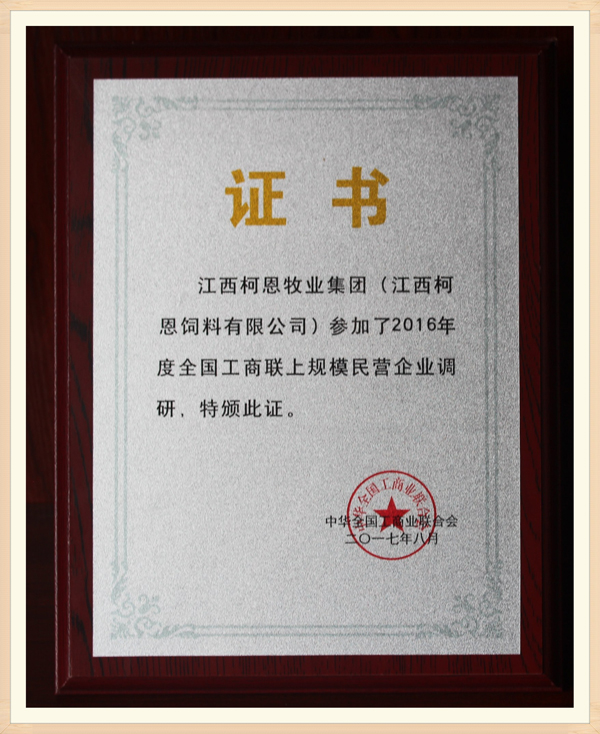 全國上規模民營(yíng)企業(yè)調研證書(shū)