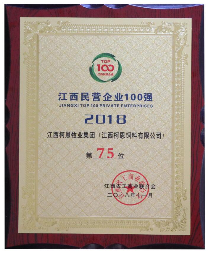 2018年江西民營(yíng)企業(yè)100強