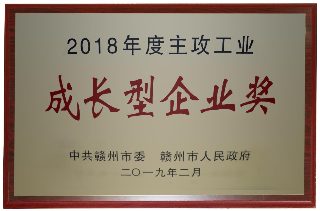 2018年度主攻工業(yè)成長(cháng)型企業(yè)獎