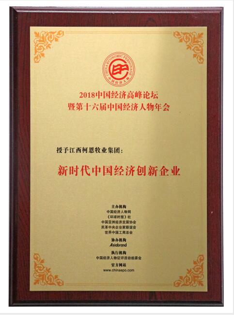 新時(shí)代中國經(jīng)濟創(chuàng  )新企業(yè)(牌匾)