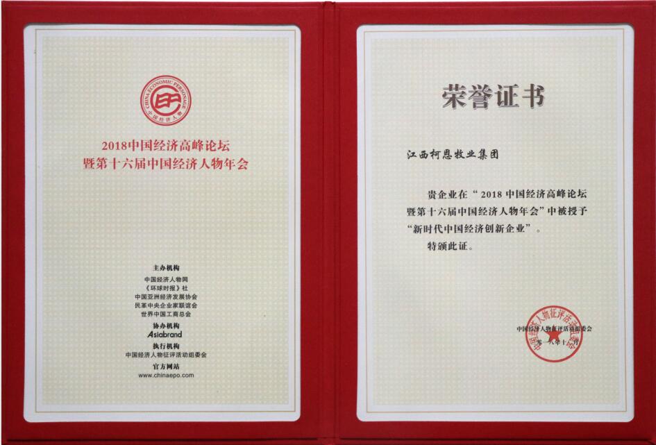 新時(shí)代中國經(jīng)濟創(chuàng  )新企業(yè)（證書(shū)）
