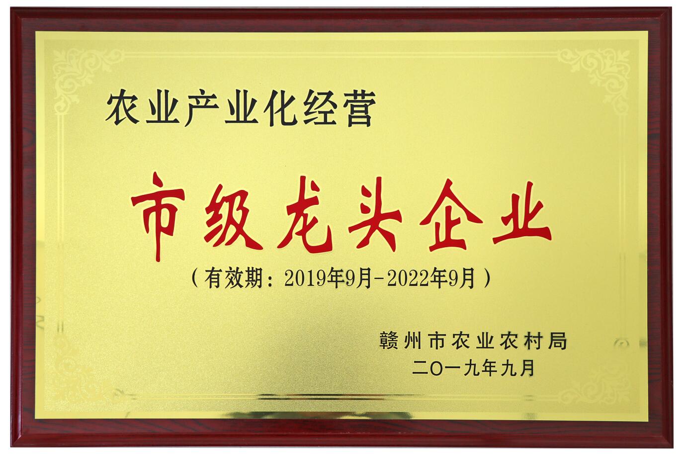 農業(yè)產(chǎn)業(yè)化經(jīng)營(yíng)市級龍頭企業(yè)（2019年）