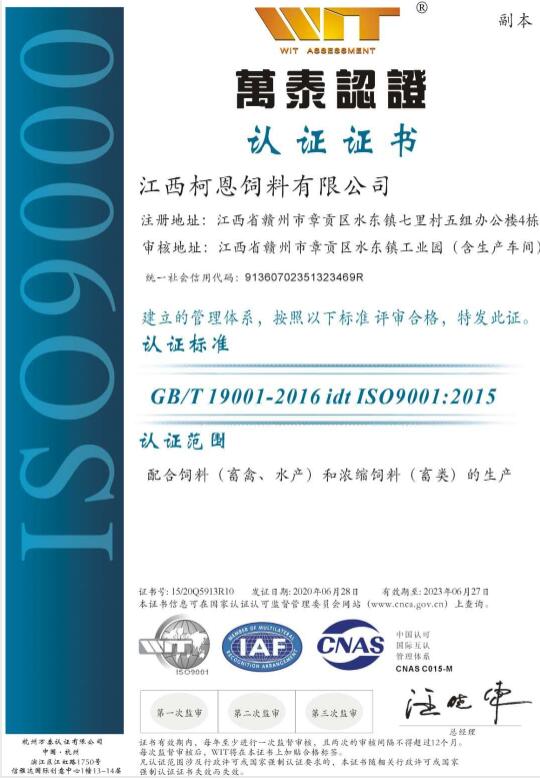 ISO9001質(zhì)量管理體系認證（換證）