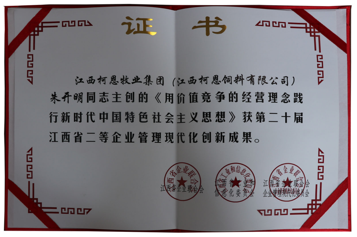 第二十屆江西省二等企業(yè)管理現代化創(chuàng  )新成果