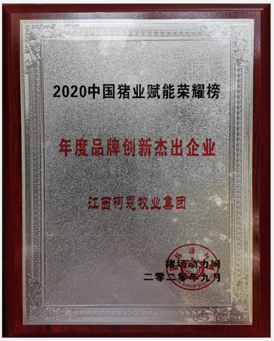 年度品牌創(chuàng  )新杰出企業(yè)