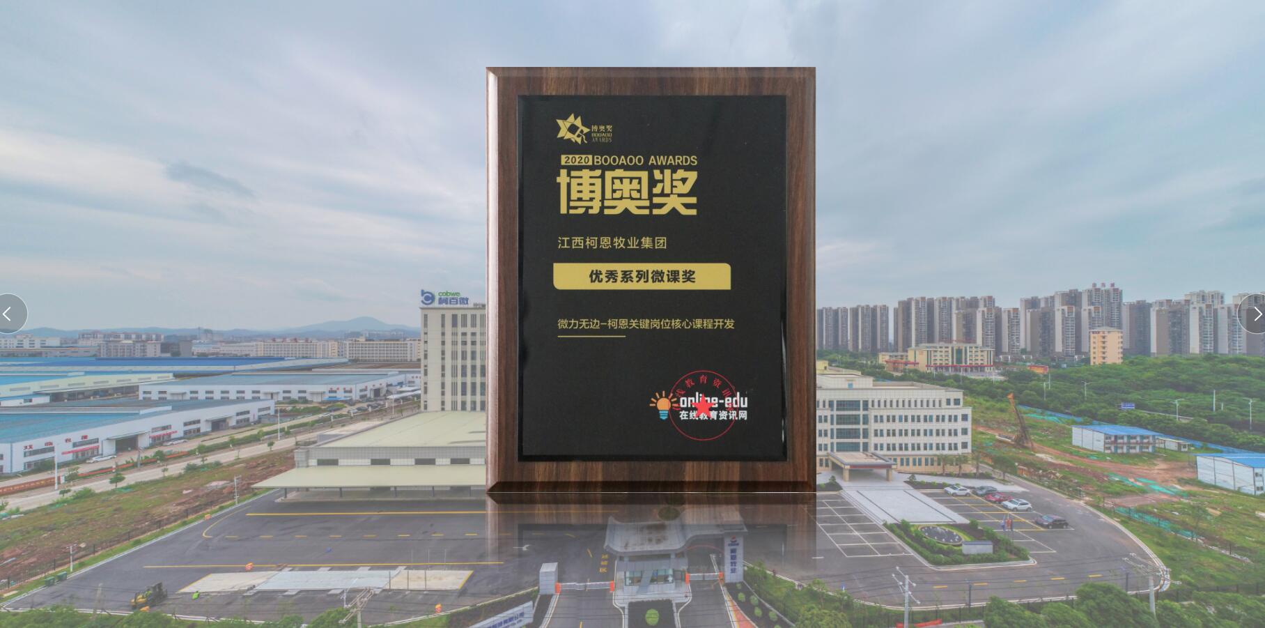 博奧獎-優(yōu)秀系列微課獎