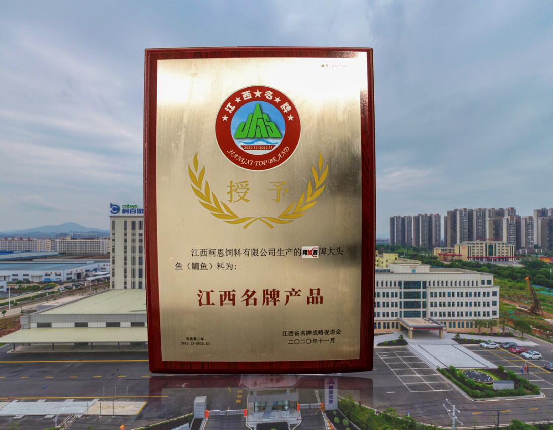 2020江西名牌產(chǎn)品（阿加西大頭魚(yú)料）