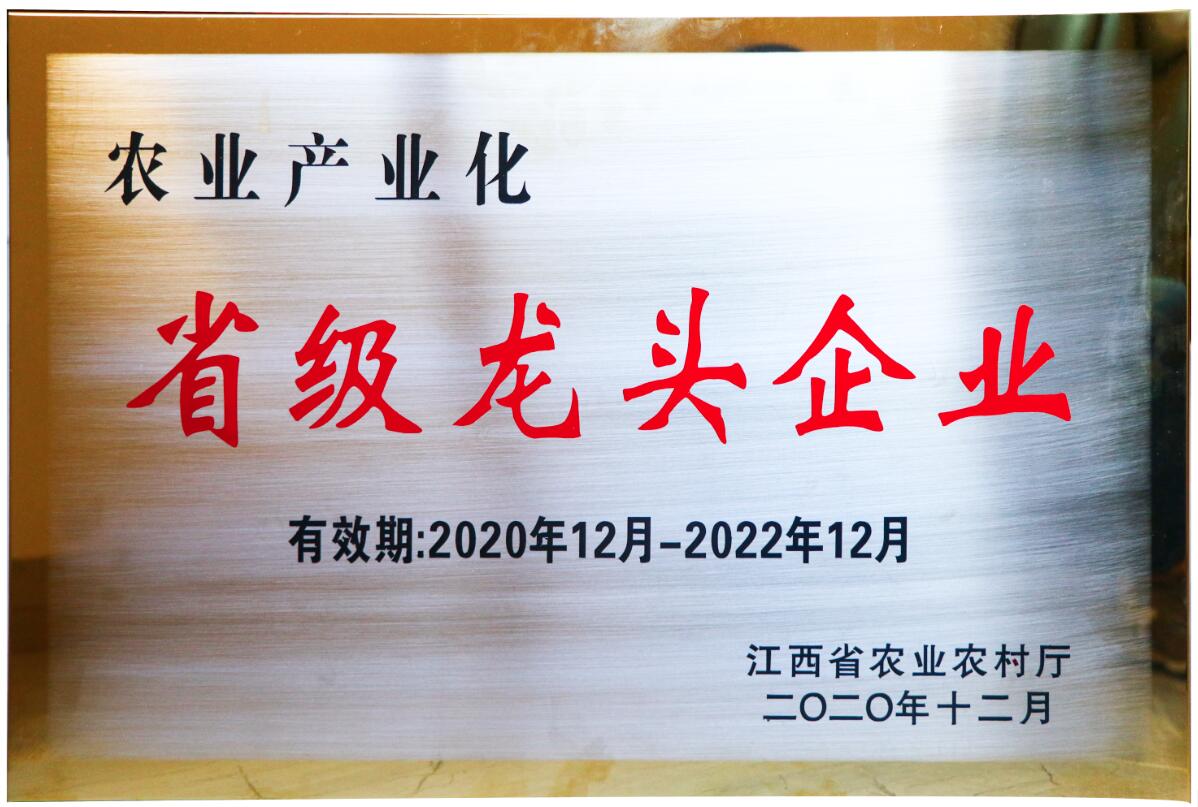 省農業(yè)產(chǎn)業(yè)化省級龍頭企業(yè)（銅牌）