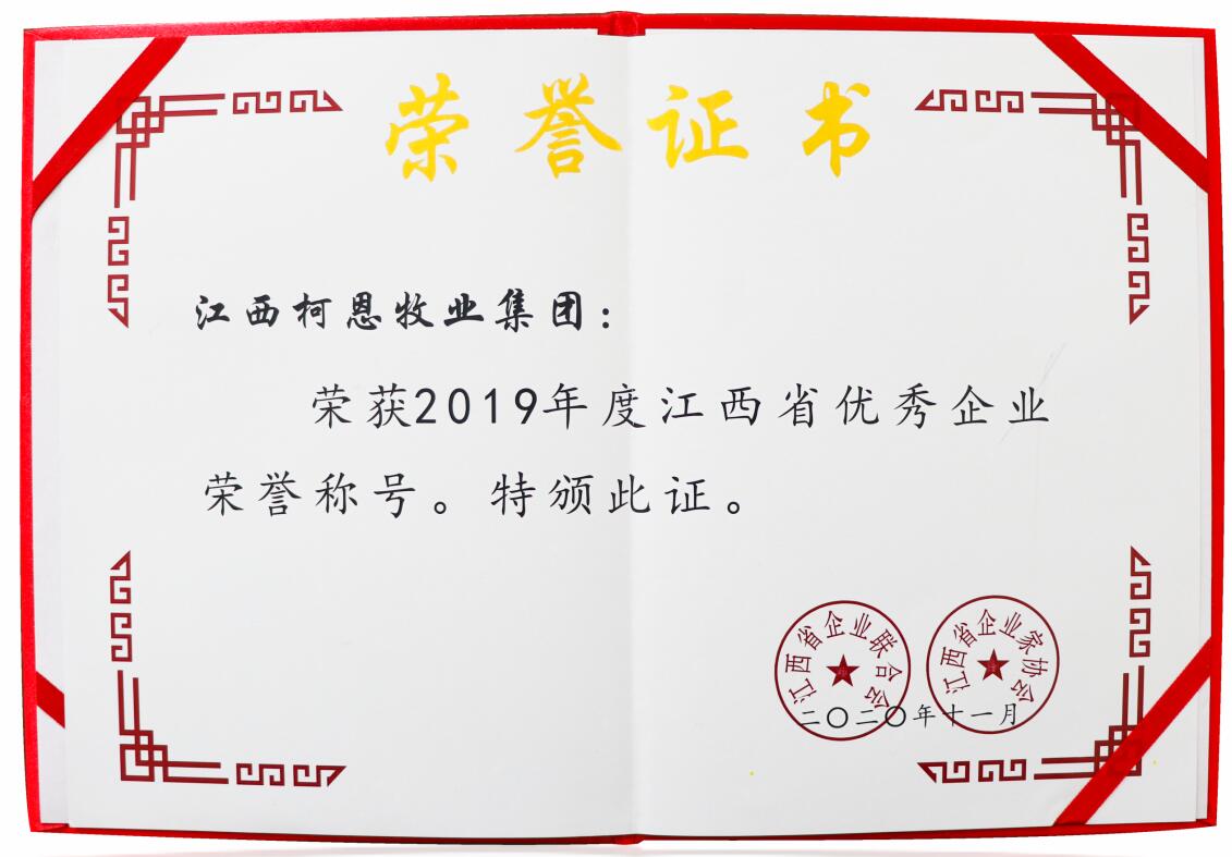 2019年度江西省優(yōu)秀企業(yè)（證書(shū)）