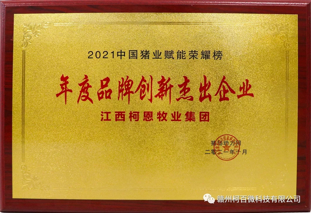 年度品牌創(chuàng  )新杰出企業(yè)（2021年）