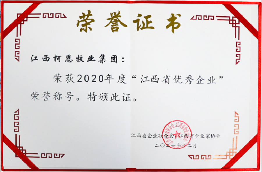 江西省優(yōu)秀企業(yè)證書(shū)（2020年度）