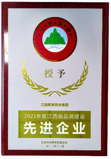 2021年度江西省品牌建設先進(jìn)企業(yè)