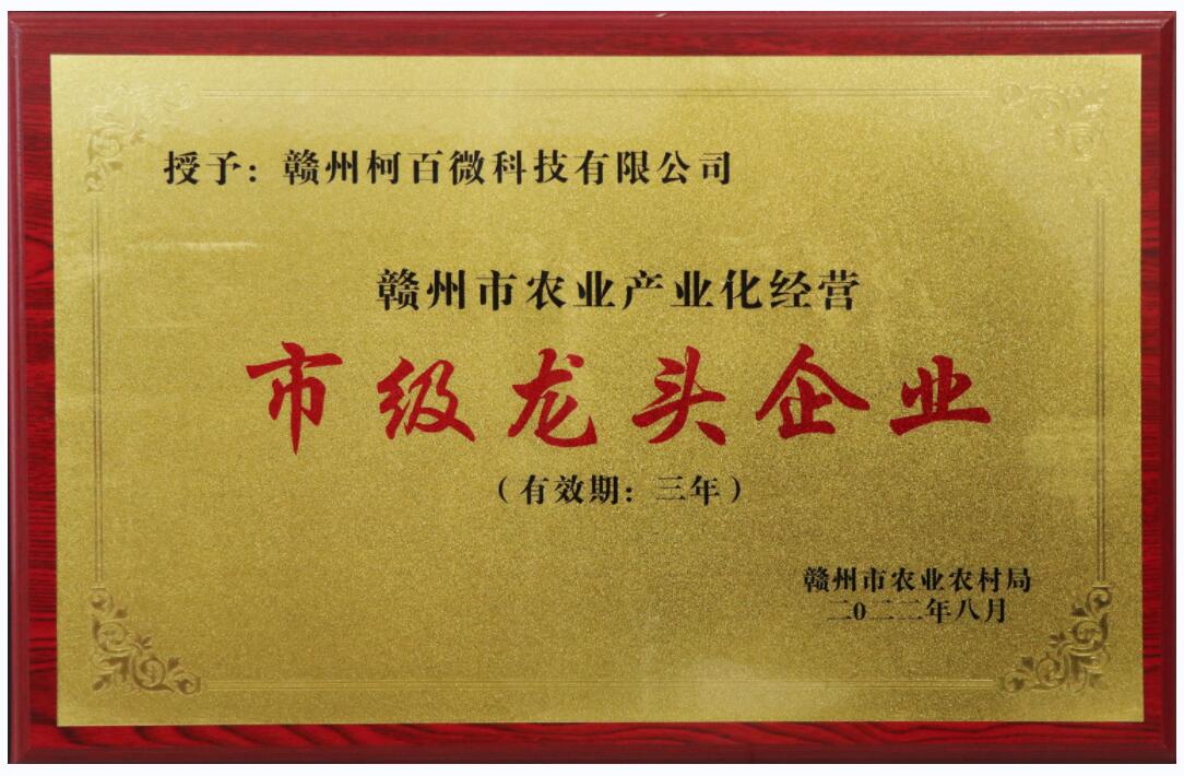 農業(yè)產(chǎn)業(yè)化經(jīng)營(yíng)市級龍頭企業(yè)（柯百微）