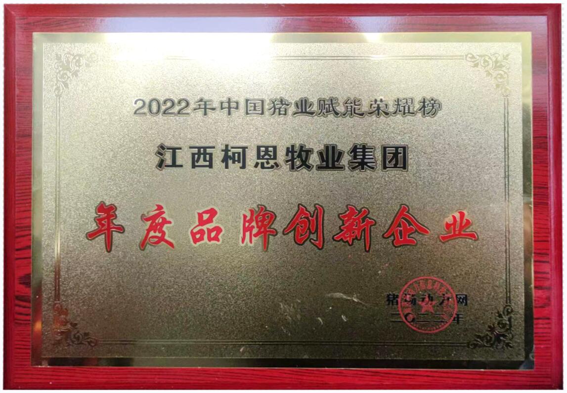 年度品牌創(chuàng  )新企業(yè)（2023年）
