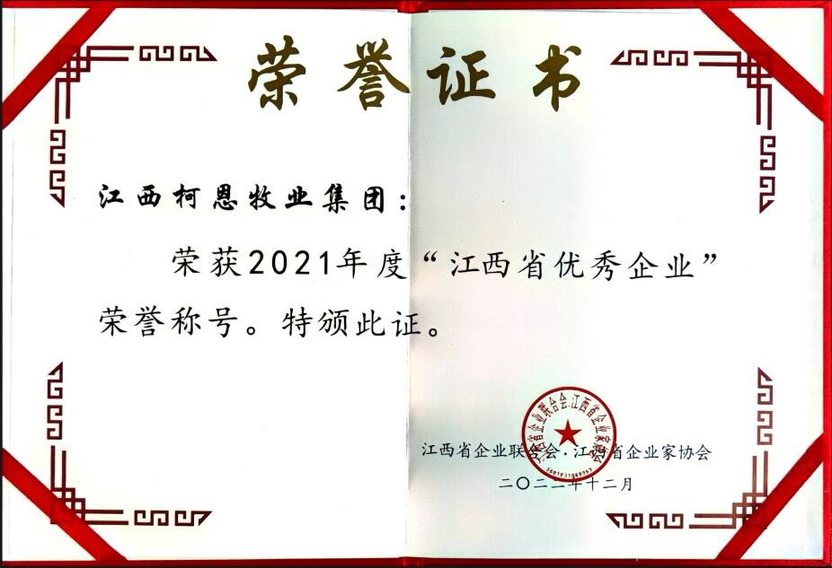 2022年度江西省優(yōu)秀企業(yè)（證書(shū)）