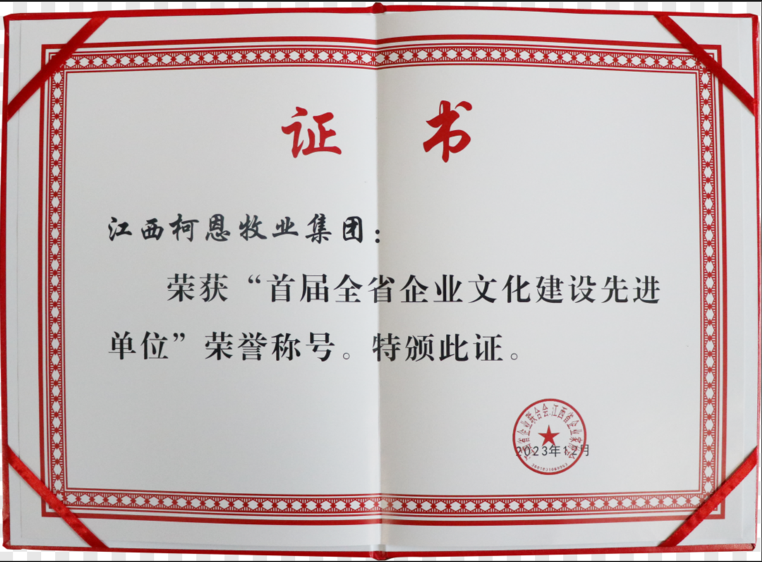 全省企業(yè)文化建設先進(jìn)單位（證書(shū)）