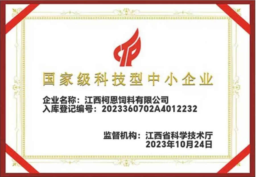 國家級科技型中小企業(yè)證書(shū)（江西柯恩）