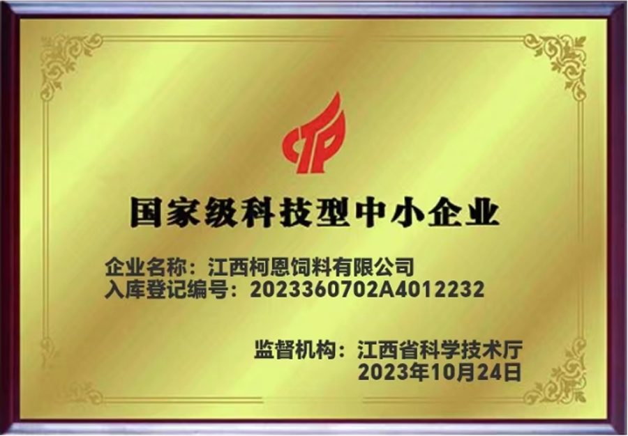 國家級科技型中小企業(yè)牌匾（江西柯恩）